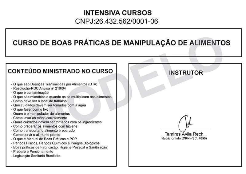 Curso online de Execução de Alimentos: Teoria e Prática - Com Certificado